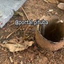 Reprodução / Instagram @portal.pituba