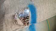 Divulgação | Receita Federal