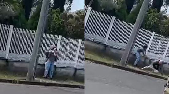 Reprodução