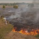 Jornal Nacional/Reprodução