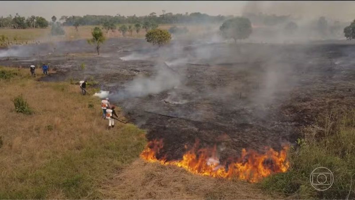 Bombeiros do Amazonas dizem que governo Lula negou apoio contra incêndios; ministério contesta