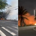 Reprodução/Instagram @infostella