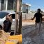 Marido de deputada se envolve em confusão sobre política, agride trabalhador e pede desculpas: “Perdi a razão”