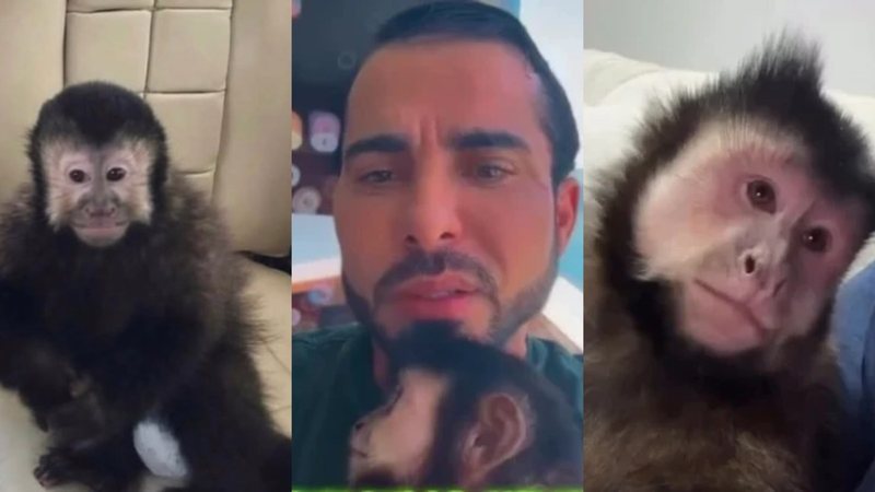 Reprodução Redes Sociais