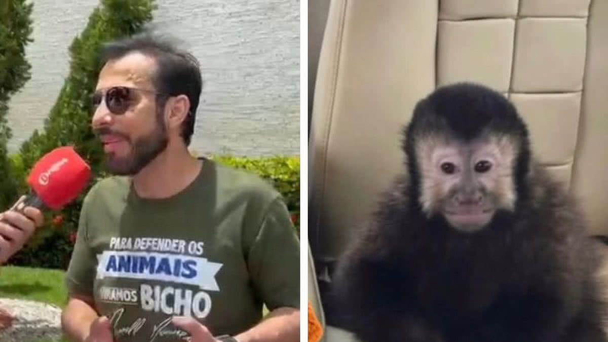 Marcell Moraes acusa vizinhos de envenenarem seu macaco-prego que morreu: ‘Não gostam de animais’
