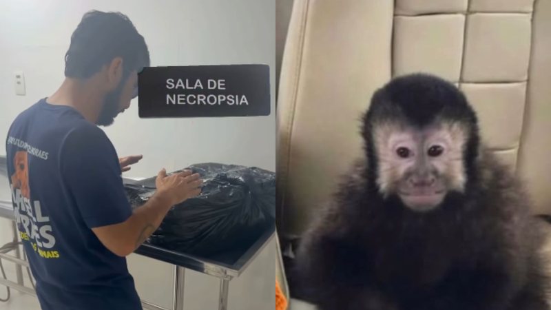 Reprodução / Redes Sociais