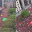 Reprodução / Redes Sociais