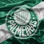 Divulgação/Palmeiras