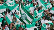 Cesar Greco | SE Palmeiras