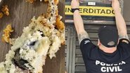 Divulgação/PCRS