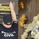 Consumidor chegou a comer parte do bolo em que continha o rato - Imagem cedida/Polícia Civil