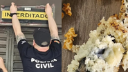 Consumidor chegou a comer parte do bolo em que continha o rato - Imagem cedida/Polícia Civil