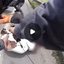 Reprodução/ Youtube PMESP