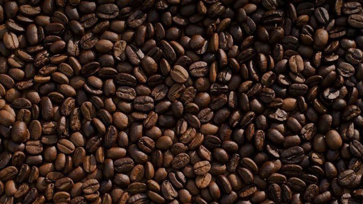 Exportação de café cresce na Bahia, mas preço pago ao produtor recua