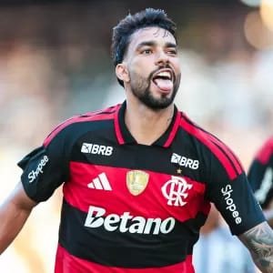 Foto: Gilvan de Souza/Flamengo