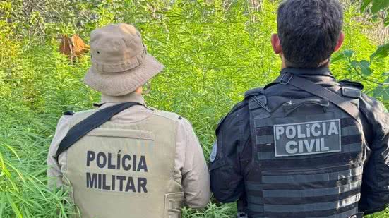 Imagens: Divulgação SSP