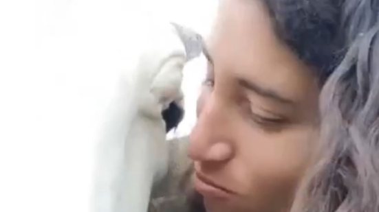 Reprodução/ redes sociais