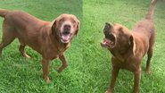 Reprodução/TikTok @marianebdmatias