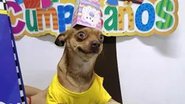 Reprodução/Redes Sociais