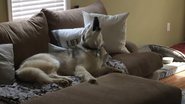 Reprodução/YouTube