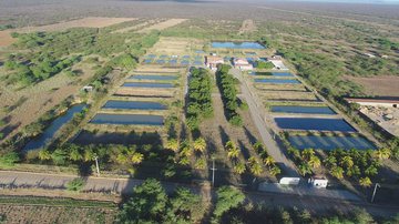 Divulgação/Codevasf