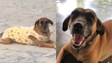 Reprodução/TikTok @erikakaianymakeup