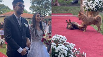 Reprodução/TikTok @gusttavolacerdafotografo