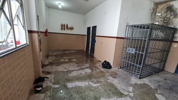 Divulgação