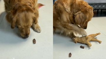 Reprodução/Instagram