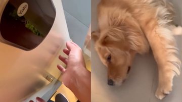 Reprodução/TikTok @jack.gff