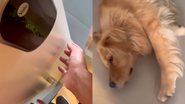 Reprodução/TikTok @jack.gff