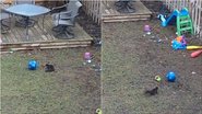 Reprodução / Reddit