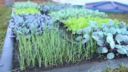 Divulgação/Agrishow