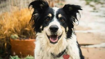 Charlotte Jones/UPSOCL