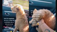 Imagem Após ser resgatado, cachorro acha que vai ser abandonado de novo e chora; veja vídeo