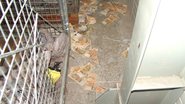 Imagem Assalto ao Banco Central: Suspeito de participar do furto de R$ 160 milhões é preso 17 anos após o crime