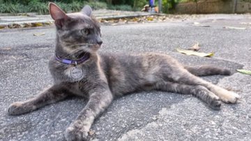 Reprodução/Instagram @caio_blat