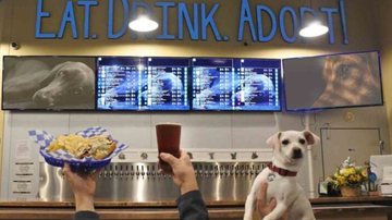 Reprodução/Fido’s