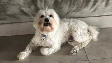 Reprodução/ redes sociais