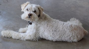 Foto Ilustrativa/Pixabay