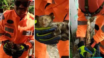 Corpo de Bombeiros/Divulgação