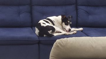 Reprodução/Facebook/Isabela Ribeiro