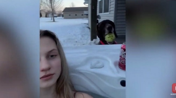 Imagem Cachorra “estraga” banho relaxante de tutora que não quis te dar atenção; veja vídeo