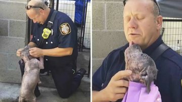 Imagem Cachorrinha não consegue conter emoção ao receber visita de bombeiro que a resgatou; veja vídeo