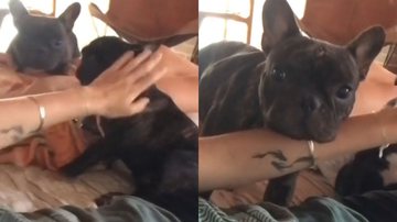 Reprodução/TikTok @danieladivina305