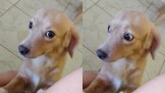 Reprodução/TikTok @marylimaa0