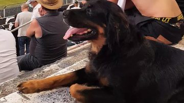 Reprodução/Instagram @thor.pontepretano