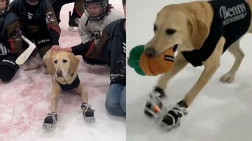 Reprodução/Instagram @vegaskingbenny