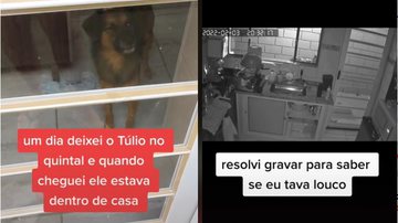 Imagem Sem saber como cachorro entrava em casa, dono duvida da própria sanidade e instala câmera; assista