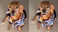 Reprodução/TikTok